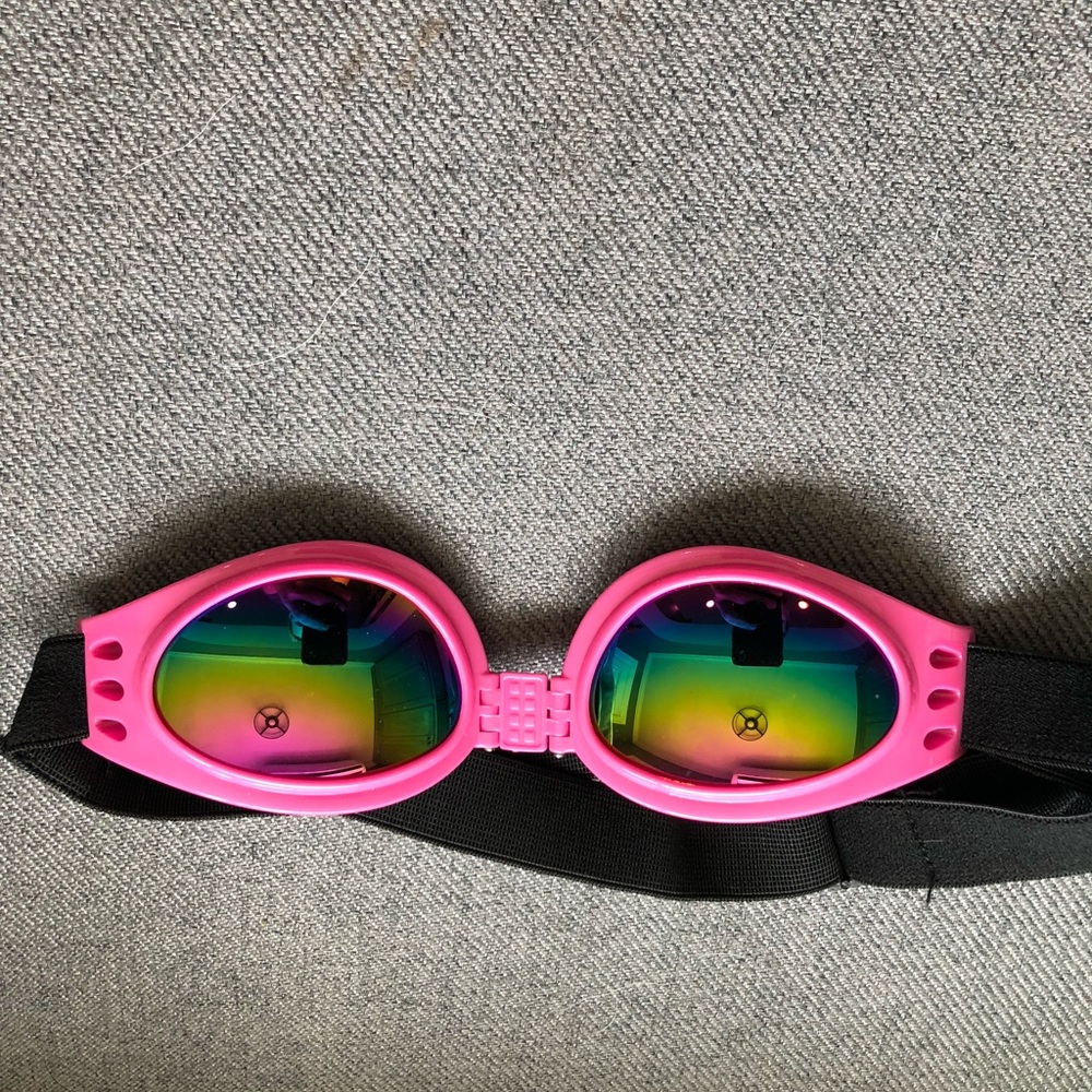 Dog sunglasses
